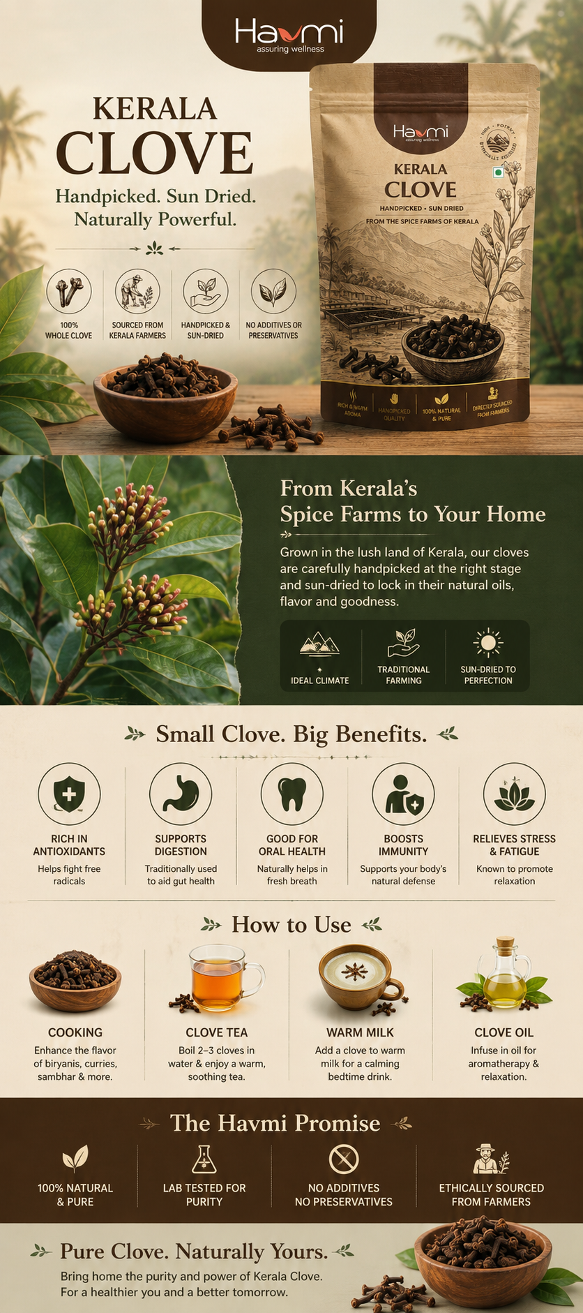 Havmi Kerala Clove – Handpicked Whole Cloves