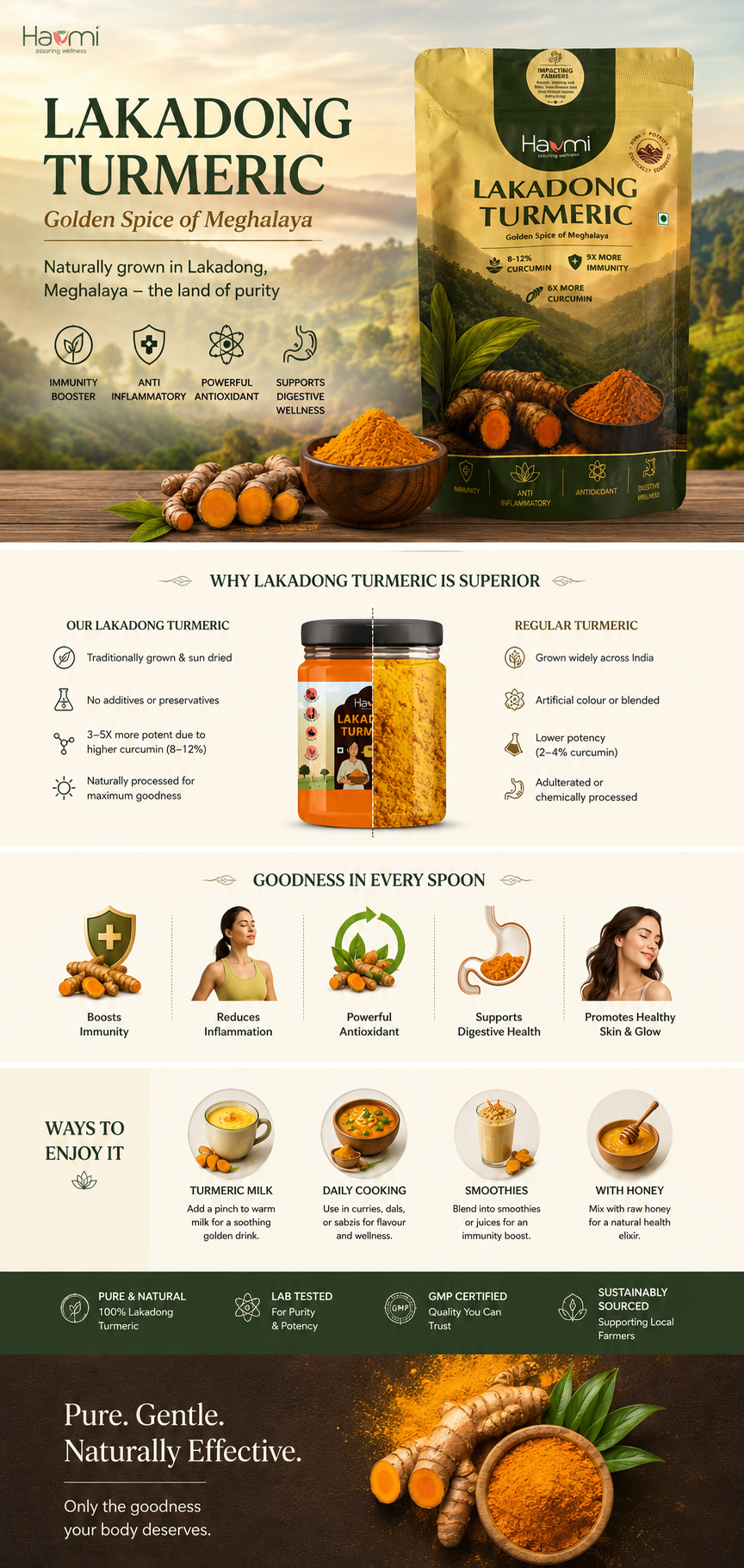 Lakadong turmeric — key ingredients