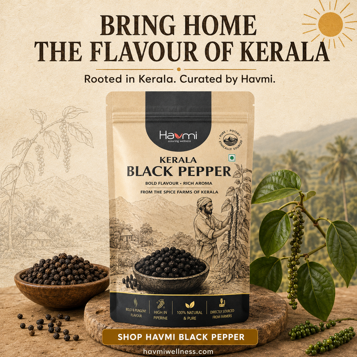 Havmi Kerala Black Pepper – Whole Peppercorns