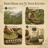 Havmi Kerala Cardamom – Premium 8MM Green Cardamom