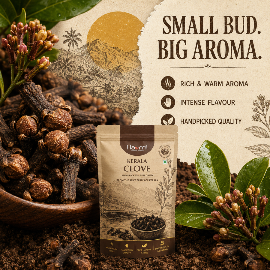 Havmi Kerala Clove – Handpicked Whole Cloves