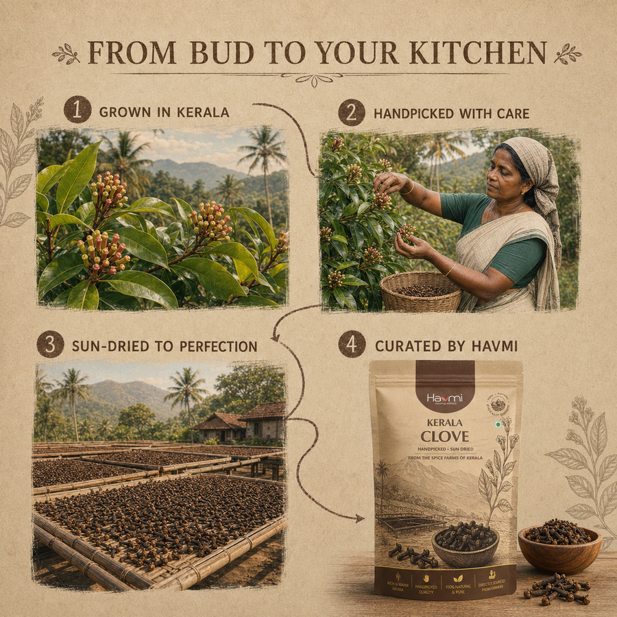 Havmi Kerala Clove – Handpicked Whole Cloves
