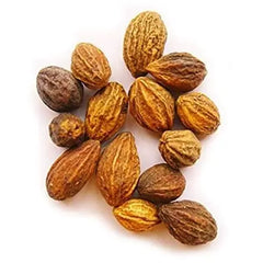 Terminalia chebula (Harad)